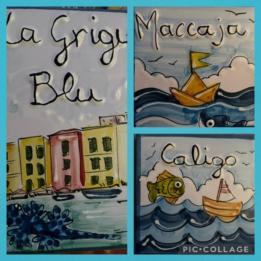La Grigua Blu Apartment Riomaggiore Exterior photo